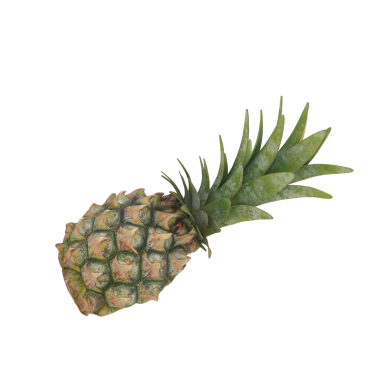 Benzersiz dokusunu ve canlı yeşil yapraklarını sergileyen bir ananasın ayrıntılı bir çizimi..