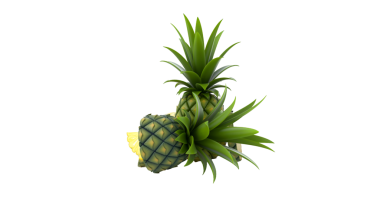 Taze yeşil yapraklı olgun bir çift ananas tropikal cazibesini sergiliyor..