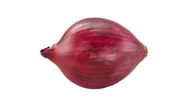 Pürüzsüz, parlak bir yüzeyi olan tek bir kırmızı soğan. Canlı rengini ve soğan şeklini sergiliyor..