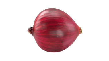 Tek bir kırmızı soğan, pürüzsüz, parlak derisini ve yuvarlak şeklini sergiliyor, genellikle yemek ve salatalarda kullanılır..