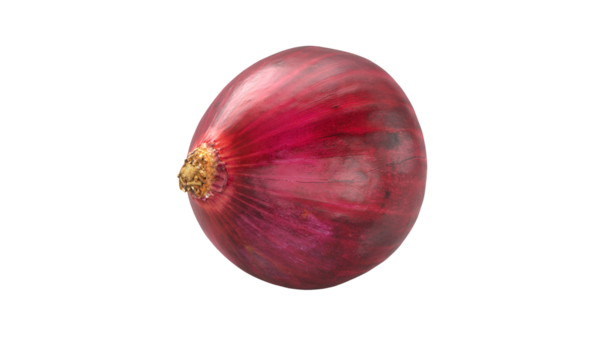 Tek bir kırmızı soğan pürüzsüz, parlak derisini ve yuvarlak şeklini gösterir. Genellikle lezzet arttırıcı pişirmede kullanılır..