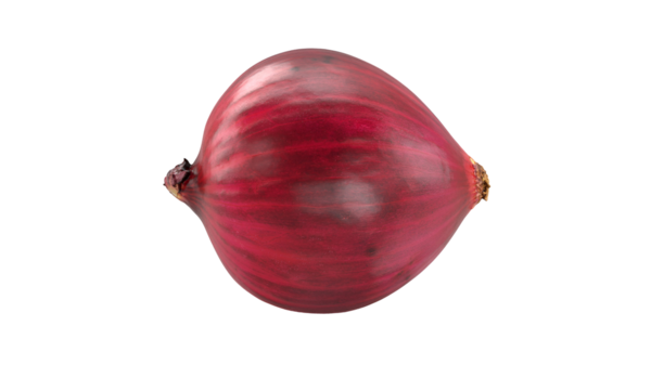 Tek bir kırmızı soğan, pürüzsüz, parlak derisini ve yuvarlak şeklini sergiliyor, genellikle yemek ve salatalarda kullanılır..