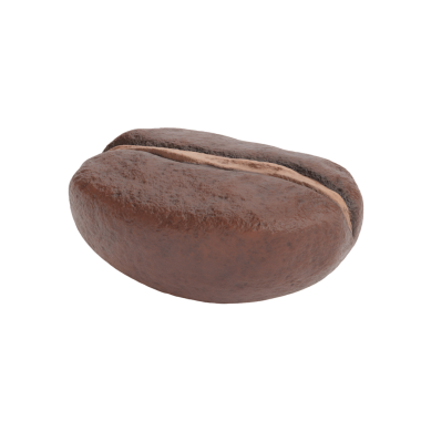 Kahve çekirdeğinin gerçekçi bir tasviri, zengin kahverengi rengini ve farklı şeklini gösteriyor, kahveyle ilgili içerik için ideal..