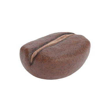 Bir kahve çekirdeğinin gerçekçi bir tasviri. Dokusunu ve şeklini vurguluyor. Yiyeceklerle ilgili görseller için uygun..