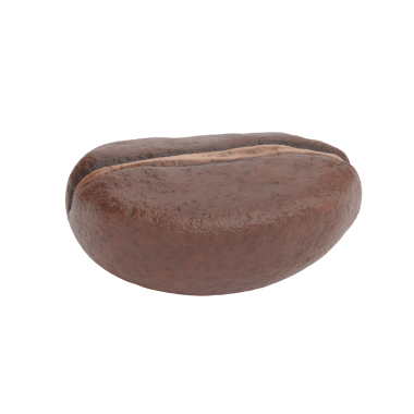 Bir kahve çekirdeğinin gerçekçi tasviri pürüzsüz yüzeyi ve zengin kahverengi rengini gözler önüne seriyor..