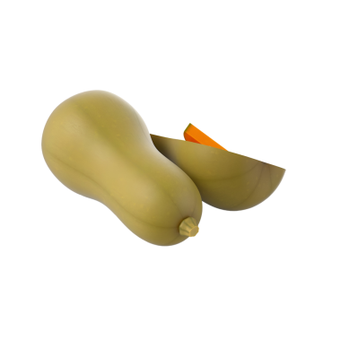 Bir tereyağlı balkabağı çizimi, eşsiz biçimini ve rengini gösteriyor, aşçılık ve eğitim amaçlarına uygun..