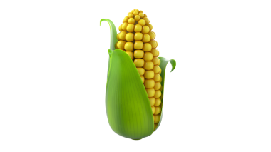 Tarım ve gıdayı sembolize eden sarı çekirdekli ve yeşil kabuklu bir mısır koçanı..