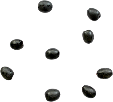 Beyaz zemin üzerinde dairesel bir desen oluşturulmuş küçük siyah tohumlar koleksiyonu.