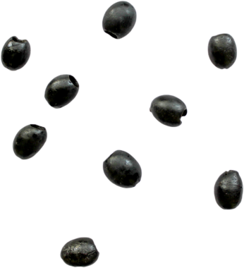 Beyaz arkaplana karşı sergilenen küçük bir siyah tohum koleksiyonu.