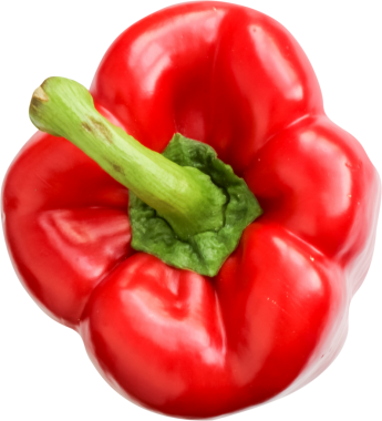 Canlı bir kırmızı çan biberi, parlak yüzeyi ve yeşil sapını sergiliyor. Aşçılık için mükemmel..