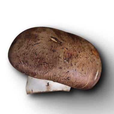 Kahverengi bir mantarın gerçekçi bir tasviri. Dokusunu ve şeklini sergiliyor..