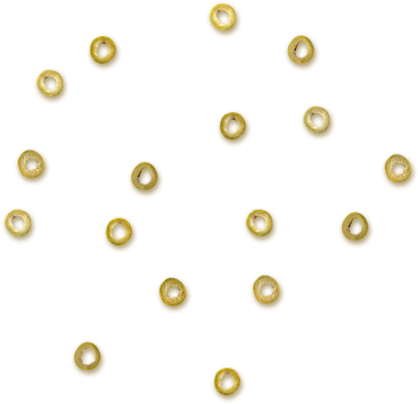 Zeytin ya da süs boncuklarına benzeyen küçük, yuvarlak, sarı nesnelerden oluşan dağınık bir sıra..