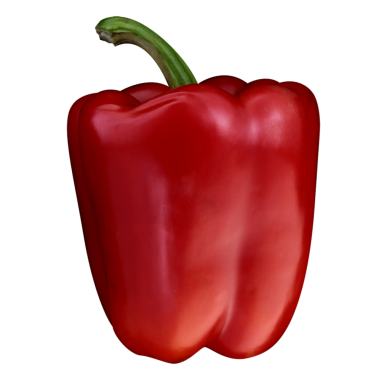 Canlı kırmızı bir dolma biber, pürüzsüz yüzeyini ve yeşil sapını sergiliyor..