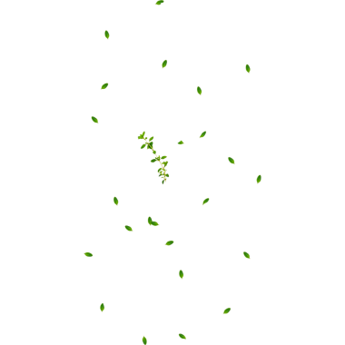 Basit bir yeşil yaprak animasyonu beyaz bir arkaplanda yavaşça yüzüyor..