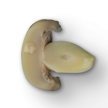 Benzersiz bir peynir şeklinin yakın plan görüntüsü kremsi dokusunu ve kendine özgü biçimini gözler önüne seriyor..