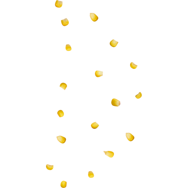 Beyaz arka planda sarı yapraklar ya da yapraklar serpilmesi hafiflik ve doğayı işaret ediyor..