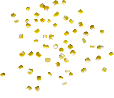 Beyaz bir zemin üzerinde sarı mısır tanecikleri serpiştirilmiş, dokularını ve renklerini sergiliyorlar..