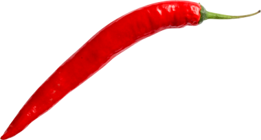 Tek bir kırmızı biber, genellikle sıcaklığı ve tadı için pişirmede kullanılır..