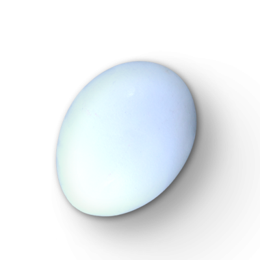 Pürüzsüz, oval şekilli, açık mavi renkli bir yumurta, doğal biçimini ve dokusunu sergiliyor..