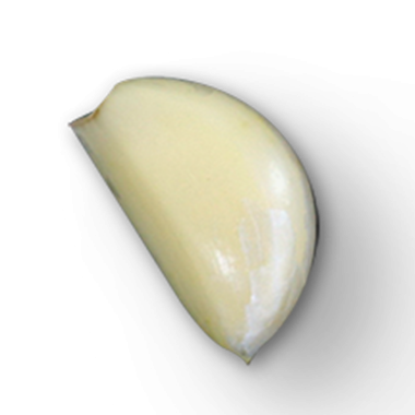 Sarımsak tek bir karanfil, pürüzsüz, soluk yüzeyini sergiliyor.