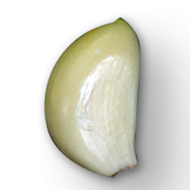 Sarımsak karanfilinin yakın plan çekimi, pürüzsüz dokusunu ve soluk rengini sergiliyor, genellikle pişirmede kullanılır..