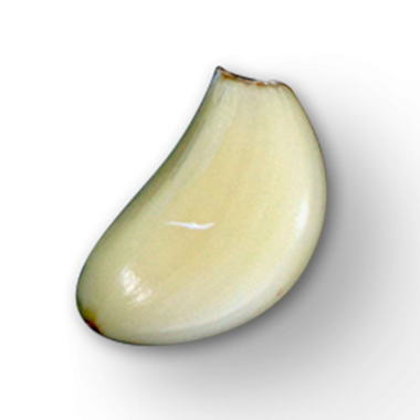 Tek, pürüzsüz, kıvrımlı şekilli beyaz sarımsak karanfili, genellikle lezzet arttırıcı pişirmede kullanılır..