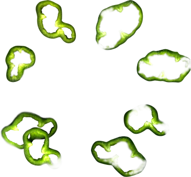 Artistik olarak hazırlanmış dilimlenmiş yeşil dolmalık biber koleksiyonu..