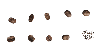 Sıraya dizilmiş kahve çekirdekleri koleksiyonu. Dokularını ve renklerini sergiliyorlar. Vurgu için de dağınık fasulyeler..