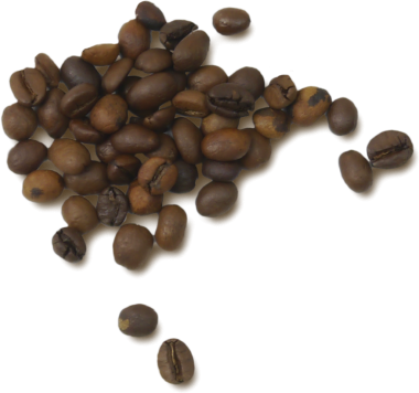 Yüzeye dağılmış kahve çekirdekleri koleksiyonu zengin renklerini ve dokularını sergiliyor..