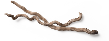 Doğal, yıpranmış görünümlü, dekorasyon ve akvaryum kullanımına uygun, eğri büğrü bir tahta parçası..