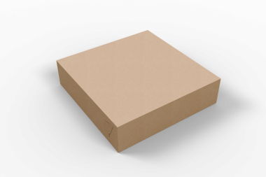 Tipik olarak ambalaj ya da depolama amaçlı kullanılan sade bir karton kutu.