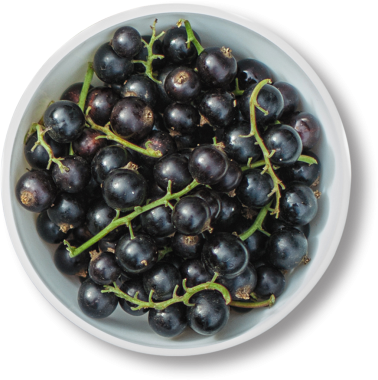 Koyu, parlak böğürtlenlerle dolu bir kase, zengin renklerini ve doğal düzenlerini sergiliyor..