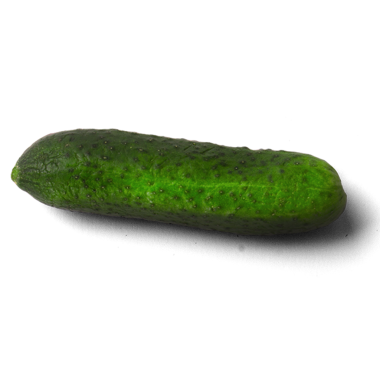 Taze yeşil bir salatalık, genellikle salatalarda ve taze dokusu ve ferahlatıcı tadı için mutfak yemeklerinde kullanılır..