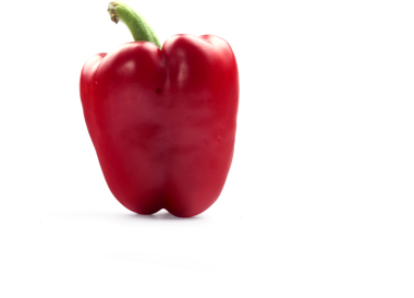 Yeşil saplı canlı kırmızı bir dolma biber, beyaz bir yüzeye gölge düşürüyor, taze ve sağlıklı cazibesini sergiliyor..