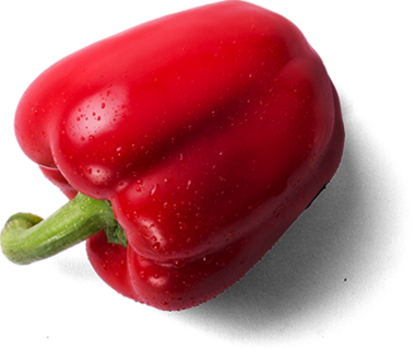 Canlı kırmızı bir dolma biber, parlak yüzeyini ve doğal damlacıklarını sergiliyor, tazeliği ve mutfak cazibesini vurguluyor..