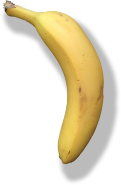 Tek bir olgun sarı muz, kıvrımlı ve pürüzsüz, canlı rengini ve doğal dokusunu sergiliyor..