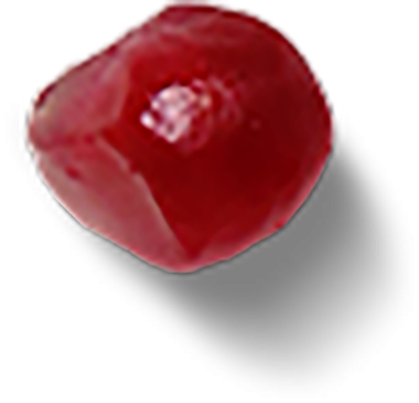 Parlak kırmızı bir kiraz, muhtemelen bir maraska, canlı rengini ve pürüzsüz dokusunu sergiliyor..