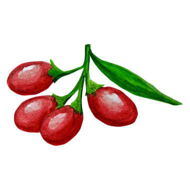 Gojiberry el çizimi kavramı element projenize uygun olarak sulu renk biçimi çizer.