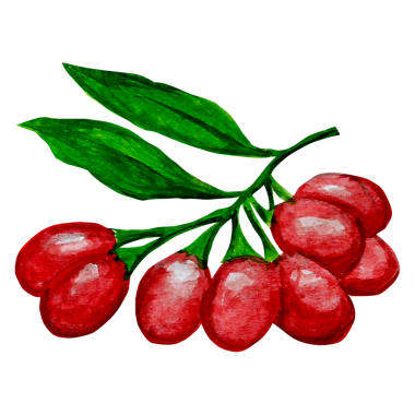 Gojiberry el çizimi kavramı element projenize uygun olarak sulu renk biçimi çizer.