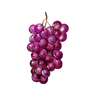 Element projeniz için uygun olan üzümlü elin çizim renk biçimini kavramsallaştır.