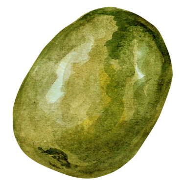 Element projeniz için uygun olan kivi meyveli elin kavramsallaştırılması su rengi biçimi.