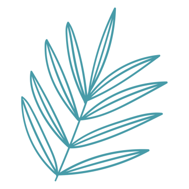 Zarif çizgilerini ve doğal formunu sergileyen yapraklı bir bitki dalının stilize edilmiş bir çizimi..