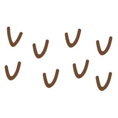 Küçük, kıvrımlı çizgilere benzeyen biçimlendirilmiş kahverengi şekiller, muhtemelen dekoratif ya da sanatsal bir tasarımı temsil ediyor..