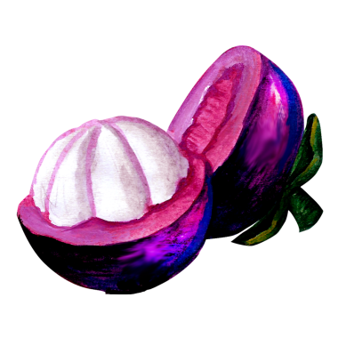 Mor dış ve beyaz, segmentli etini sergileyen canlı bir mangosteen meyvesi..