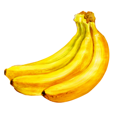 Olgun, sarı muz kümesi, canlı renklerini ve doğal kıvrımlarını sergiliyor..