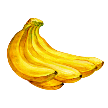 Yumuşak dokularını ve kıvrımlarını sergileyen, genellikle besleyici bir atıştırmalık olarak keyif alan olgun sarı muz kümesi..