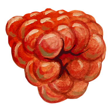 Canlı bir ahududu çizimi, desenli yüzeyi ve zengin rengini gözler önüne seriyor..