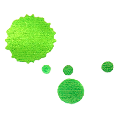 Hücreleri veya mikroorganizmaları andıran yeşil dairesel şekiller koleksiyonu.