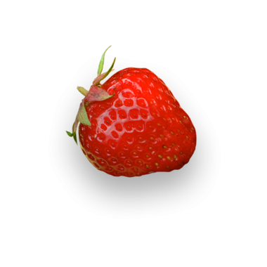 Canlı kırmızı bir çilek. Dokusunu ve tazeliğini sergiliyor..