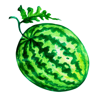 Yeşil kabuklu ve yapraklı bir karpuzun canlı bir çizimi taze ve sulu çekiciliğini gözler önüne seriyor..